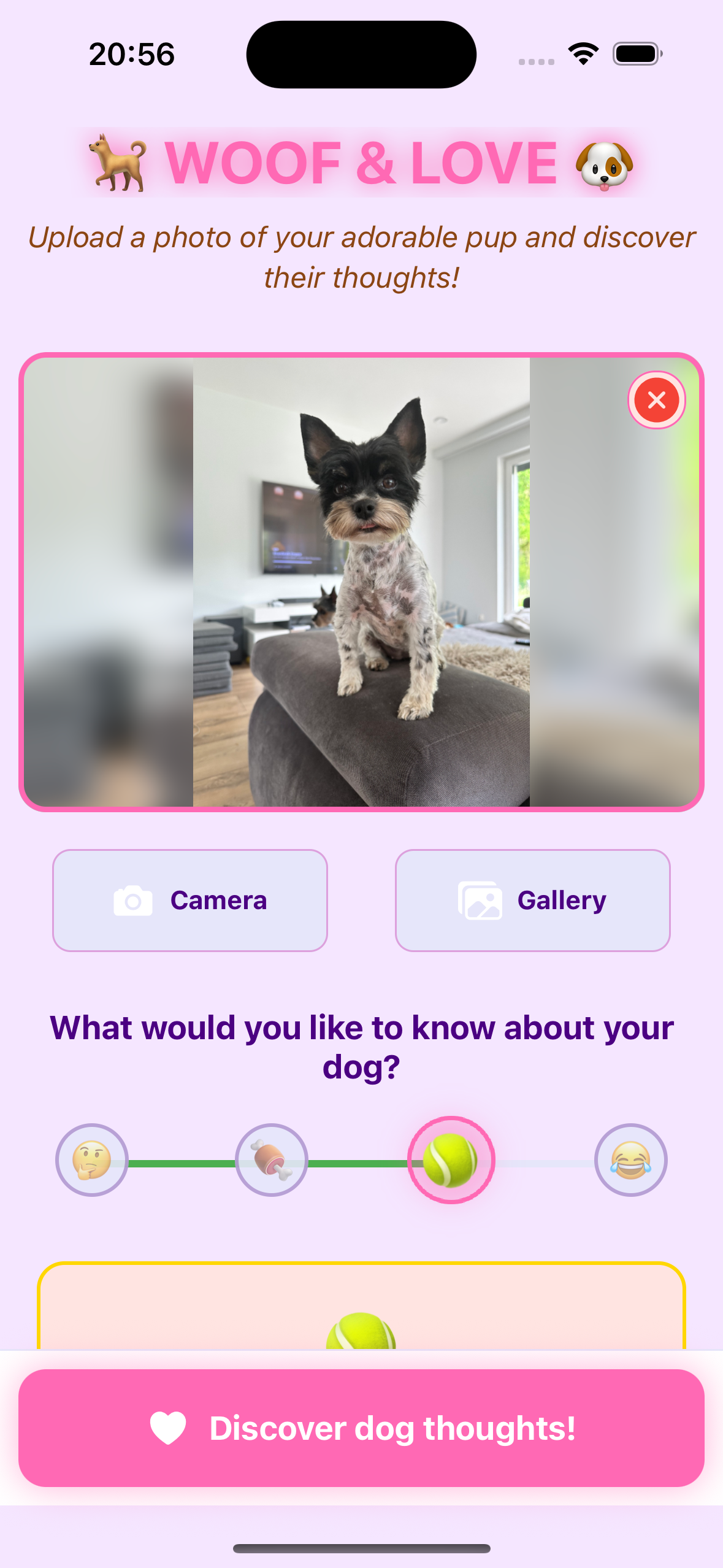 Woof & Love - Main Screen