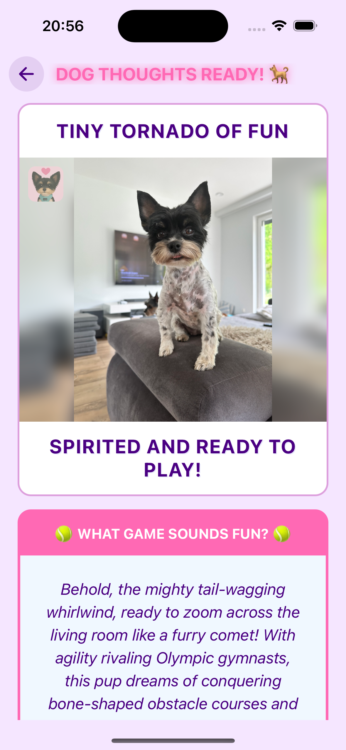 Woof & Love - Result Screen
